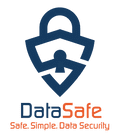 Data Safe Group LLC